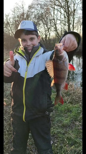 #pêche #fishing #pourtoi #perche #fish une magnifique perche 😍😍