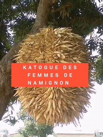 #culturesenoufo #peuplesenoufo🇨🇮 #tiktokmali🇲🇱223 #senoufo🇨🇮💪