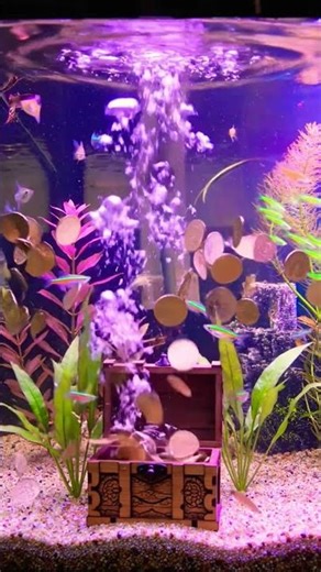 Clean Planted Fish Tank Setup | Crystal Clear Aquarium with Healthy Plants & Fish #aquariumplants