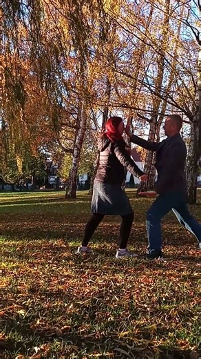 Tai Chi Chuan Punch defense 2 #combat #defense #taichi