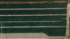 The Geometry of Agriculture
