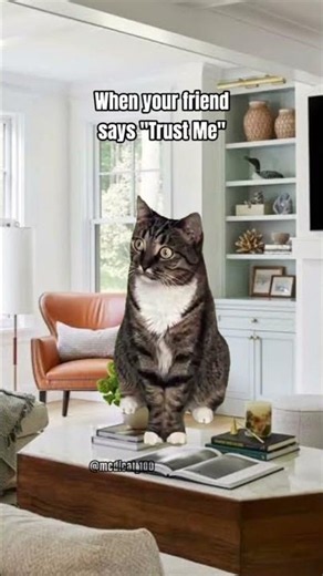 Incoming Hazard😂 #foryou #funny #cat #funnycatches #funnycats #memes #relatable #viral #besties