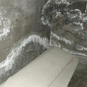 White Mold or Efflorescence | Wet block walls with white powder