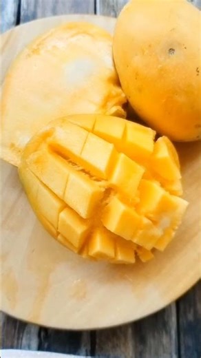 Mango(Mangifera indica)#alphonso#anacardiaceae#Dicotyledonae#drupefruit#Mangifera#botany