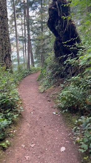 4.5K views · 186 reactions | Take a minute this Monday to relax and unwind while we walk along the Goose Rock Perimeter Trail by the Deception Pass Bridge  | Cascade Loop Scenic Highway | Facebook