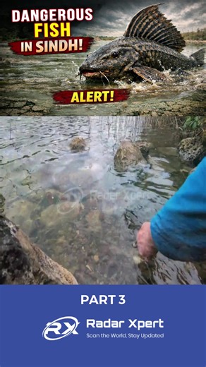 Discovering Dangerous Fish in Pakistan