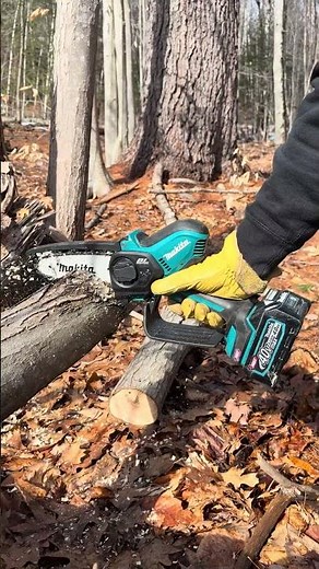 Makita 40V max XGT Brushless Cordless Battery 6 in. Pruning Lithium-Ion Mini Chainsaw #tools