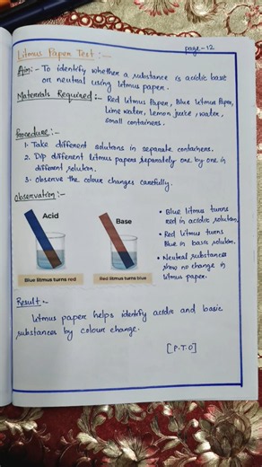 😍Best Science portfolio class 7 #stmary #studentproject #portfolio #class7 #science #shorts #viral
