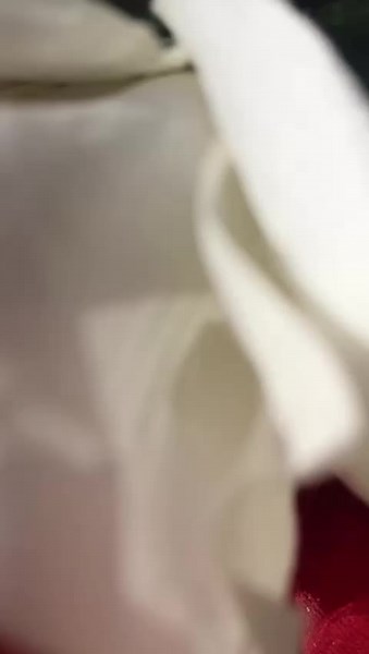 Stunning Car Decorations for Special Occasions