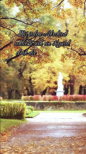 Mein Beileid | Trauerspruch zum Abschied | Erinnerungen bleiben für immer #trauer #erinnerungen