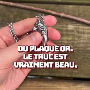 4K views · 6.9K reactions | Les loups jouent un rôle très important...