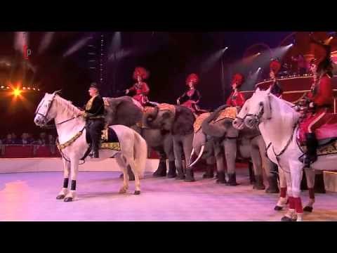 International Circus Festival - horses and elephants act