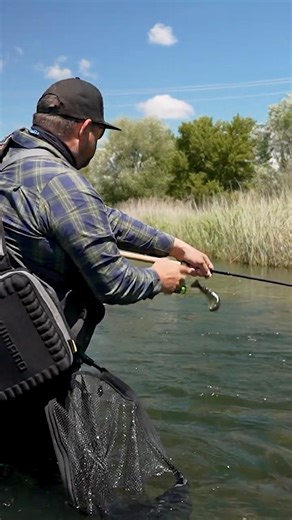 Pyrenäen‑Forelle: Präzises Angeln im Gebirgsbach