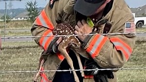 Texas firefighters rescue fawn while putting out fire in Corral City