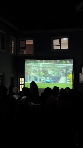 FIFA World Cup Viewing Screens — LED, Projector & Plasma Hire