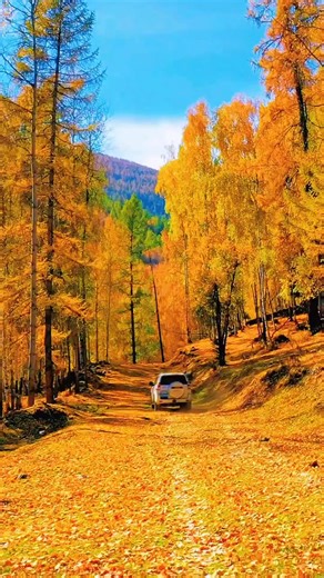 Colors of Nature | TRAVEL magazine