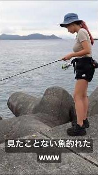 Caught a fish I've never seen before off the breakwater lol #fishing #mancing #fishing #Marcos