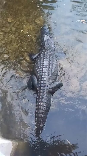 Daniel Parra on Reels