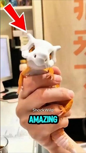 TOP 5 MOST AMAZING ANIMALS IN THE WORLD! 🐾🌍