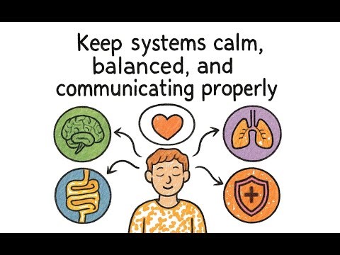 VIP Peptide Explained | Brain, Gut & Immune System Reset