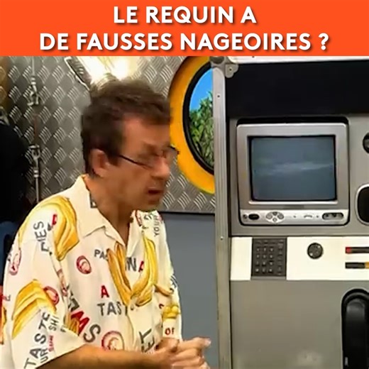 Les requins ont de fausses nageoires ? « C’est pas sorcier », le magazine de la science et de la découverte présenté par Fred, Jamy et Sabine. A bord de leur camion laboratoire, les trois présentateurs nous emmènent vers des sites insolites et spectaculaires pour nous expliquer le monde qui nous entoure. Retrouvez les émissions sur : https://www.youtube.com/user/cestpassorcierftv Suivez-nous sur Facebook https://www.facebook.com/cestpassorcier/ | C'est pas sorcier