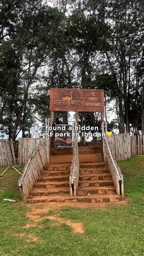 Hello Ibadan on Instagram: "Do you know there’s a hidden forest park inside the National Museum of Unity, Aleshinloye — the Woodland Forest Park (@woodlandforestpark)? It’s a serene spot surrounded by tall trees, the kind of place where you can escape the city noise and just enjoy nature. You can come here to read a book, take a quiet walk, or simply relax in the calm. The park is designed for nature lovers, and it’s also ideal for photo shoots, video shoots, or even spending a full day outdoors