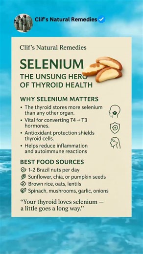 Selenium might be one of the most overlooked minerals for thyroid health — but it’s absolutely essential. 🧠💪 The thyroid stores more selenium than any other organ, and this trace mineral plays a key role in: • Converting inactive thyroid hormones (T4) into their active form (T3) • Protecting thyroid cells from oxidative stress and immune attack • Reducing inflammation and autoimmune antibodies • Supporting healthy skin, hair, and nails You don’t need much — just a small daily dose makes a big 