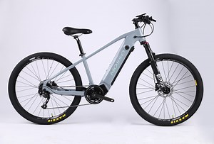 [Hot Item] 250W Ebike with Multi-Function Display and Smart Features Electric Mountain Bicycles