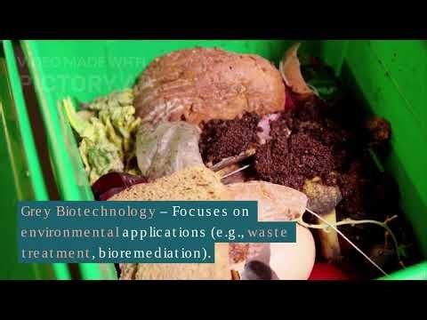 Biotechnology: Where Science Meets Innovation