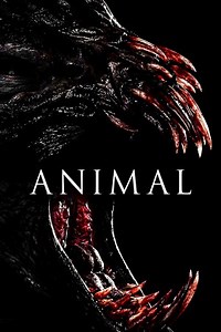 Animal - Película 2014 - Cine.com