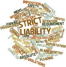 Strict Liability in Tort Law: Origins, Exceptions and Modern Applications | Legal Service India - Law Articles - Legal Resources