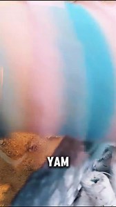 Innovative Yam Planting Method Using Plastic Tubes #tips #reels #harvest | Next Wave