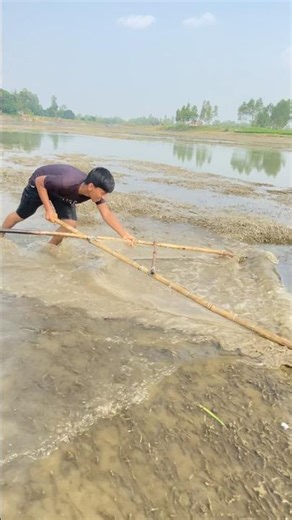 Low Water Fishing Method | Easy Small Fish Catching