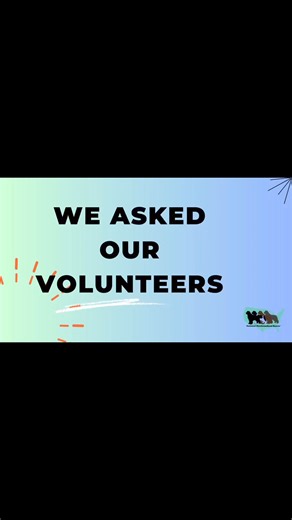 1.6K views · 13 reactions | https://nationalnewfoundlandrescue.com/donate/ Donate today!  | National Newfoundland Rescue | Facebook