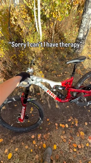 8.1K views · 849 reactions | Do yourself a favor and take an autumn ride before it’s too late 凉 | Ari Bicycles | Facebook