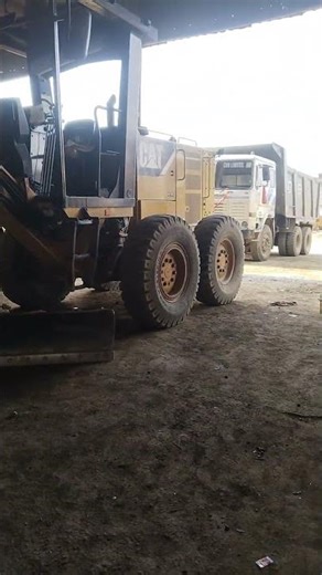 শুভ সকাল 🌄 লাইক কমেন্ট