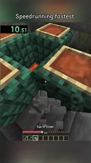 The fastest speedrun in Minecraft 🗿 #minecraft #minecraftshorts #minecraftmemes