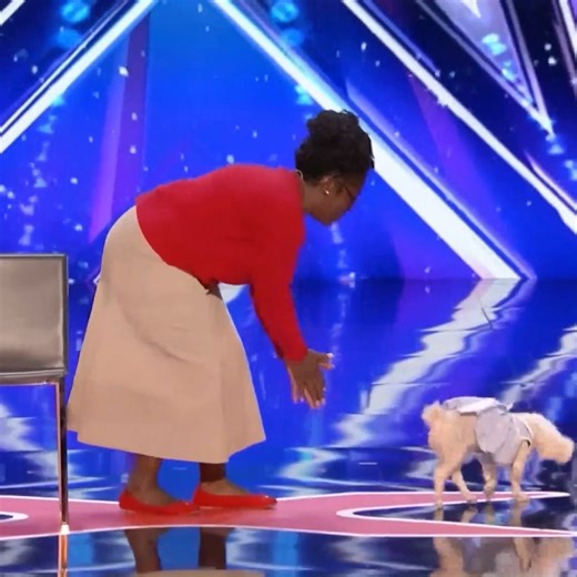 The World's Smartest Dog_! _ America's Got Talent | America's Got Talent Auditions