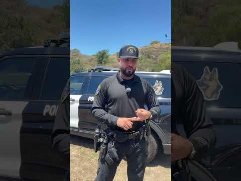Inside SDPD - K9