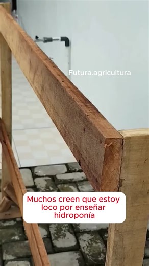 #huertos #hidroponia #cultivo #hidroonik | hidroponia cultivo