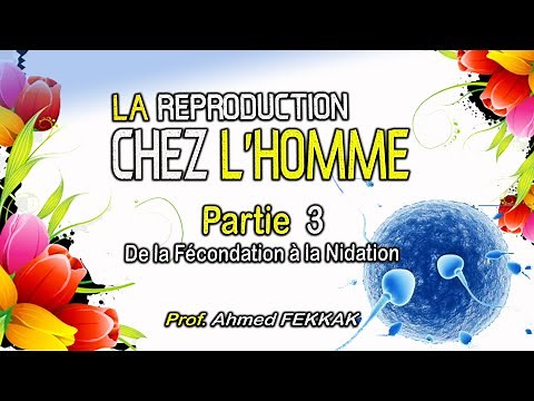 LA REPRODUCTION CHEZ L'HOMME - PARTIE 3 - De la Fécondation à la Nidation - Prof Ahmed FEKKAK