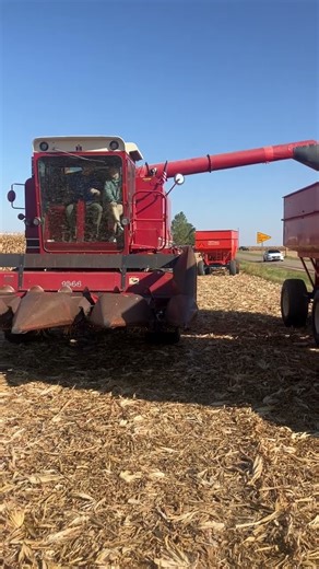 IH 1420 combine unloading corn.