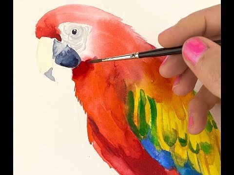How to Paint a Parrot in Watercolor