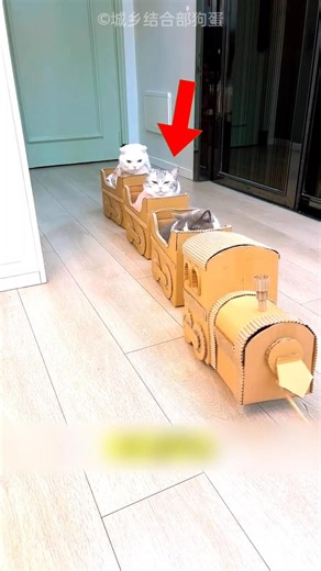 Cardboard Train Fail 😂 Angry Cat Jump