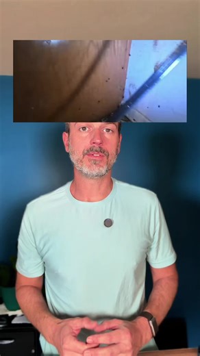 Effective Solutions for Cockroach Problems