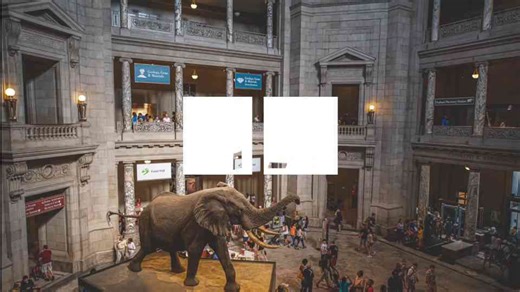 What early mammals really looked like