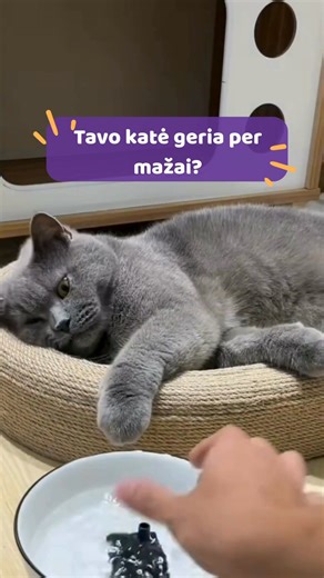 Ar tavo augintiniai vis dar geria iš paprasto dubenėlio? 🐾😅 Laikas pakelti jų vandens balansą į visiškai kitą lygį 💧✨ Automatinis Pupi.lt vandens fontanas – tai: - nuolat šviežias ir filtruotas vanduo - judanti srovė, kuri skatina gerti daugiau - tylus veikimas - paprastas valymas - 1,5 l talpa ir mažiau rūpesčių kasdien ✔️ Padovanok savo pūkuotam draugui mini SPA namuose. Ir taip, jie tikrai tai įvertins! 😍💦 🛒 Pažiūrėk, gal šis fontanelis tiktų ir tavo augintiniui: Pupi.lt | Pupi.lt