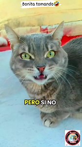 Bonita tomando🤭🤣👍 #comedy #broma #meme #joke #funny #gracioso #darkhumor | Benita bonita