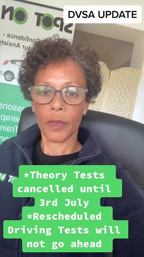 Annie l Theory Test Practice on TikTok