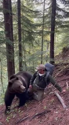 Bear Saves Tourist From Falling Off a Cliff — REAL Footage! 🐻😳🔥 #animals #shortviral #viralvideo